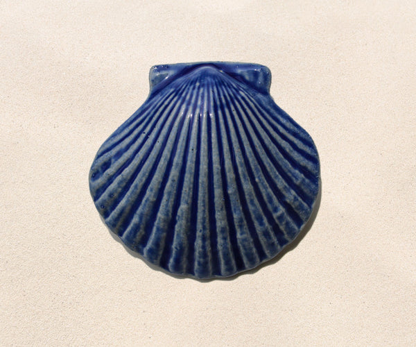 Blue Scallop Shell